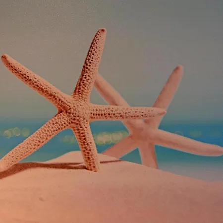 Ferienhaeuser Am Teich, Zinnowitz